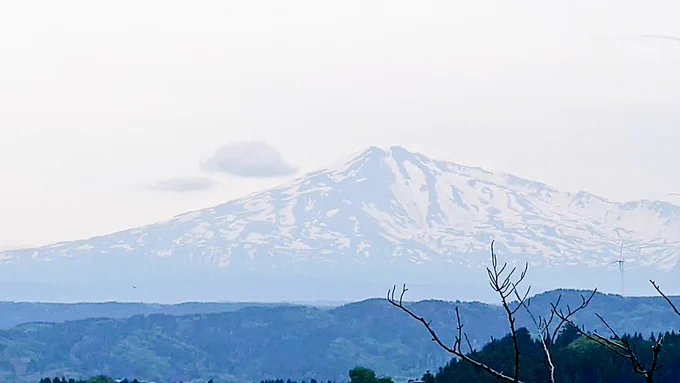 山