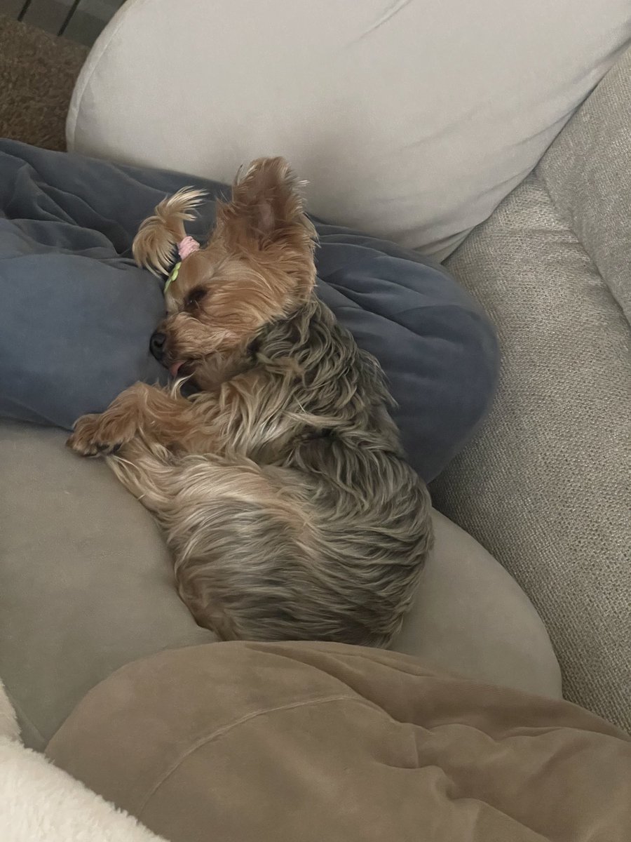 クッション2個使い🥰