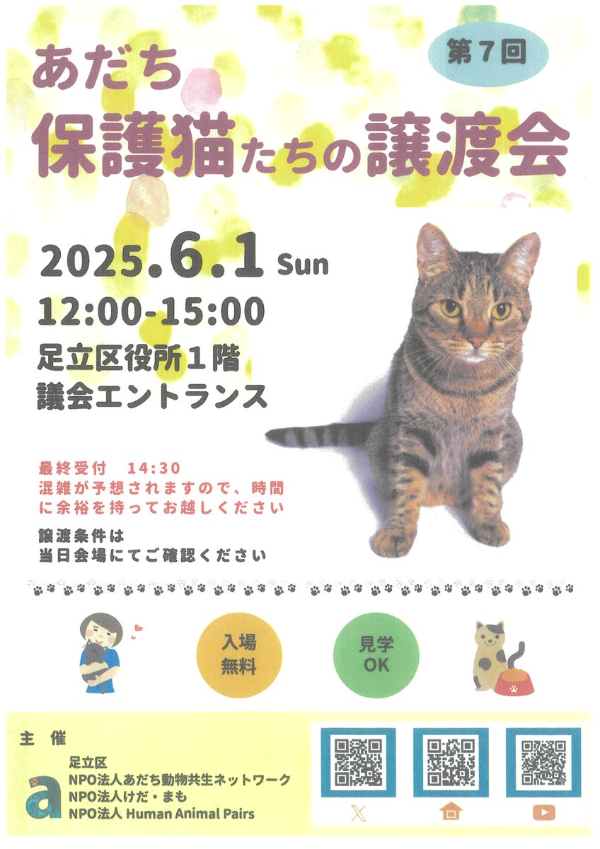 adachiNPOmckt's tweet photo. 🐾第７回保護猫たちの譲渡会🐾
日時：６月1日(日)12:00～15:00
場所：足立区役��1階議会エントランス
*入場無料・見学ＯＫ
詳しくはチ��シをご覧ください🐈 https://t.co/9i9xa22IFT