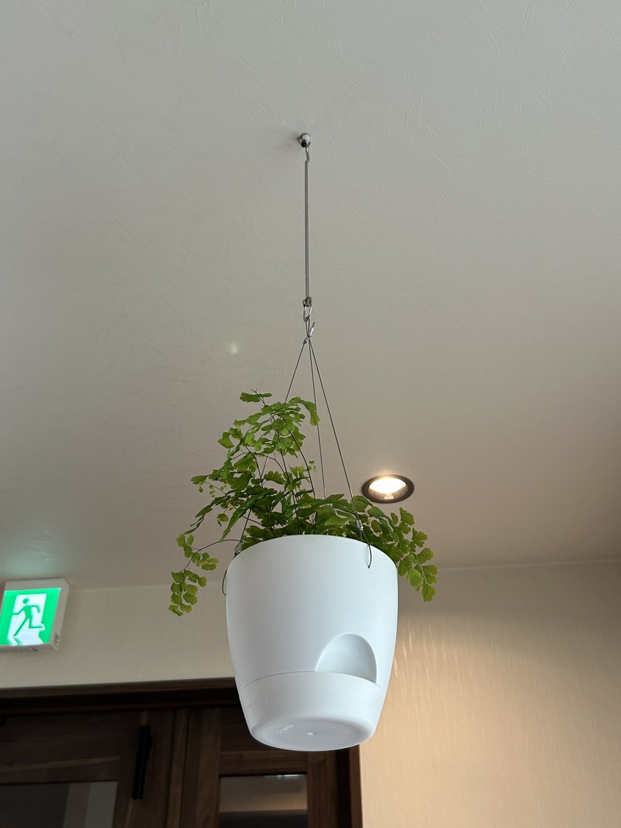 おはようございます
吊るしてみましたよ^_^本日もご来店お待ちしてます