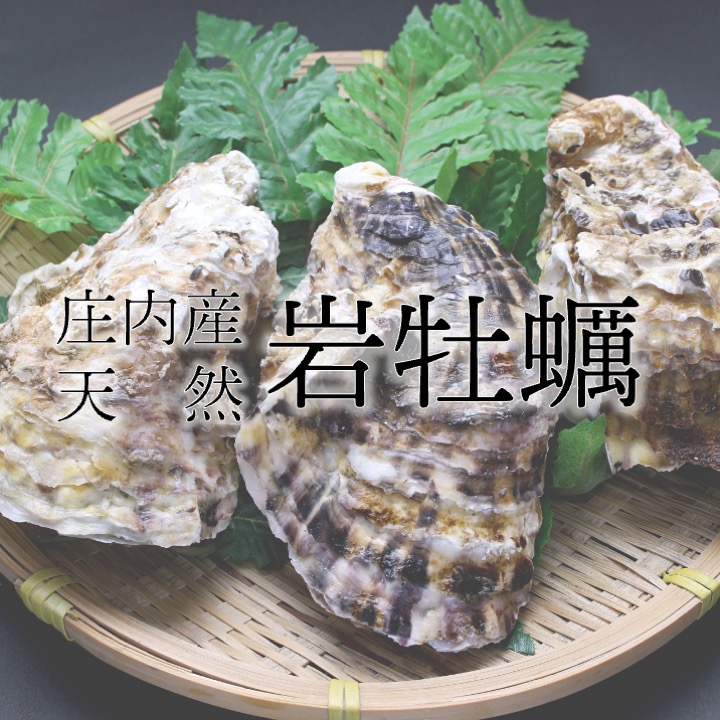lepotaufeu's tweet photo. 🦪やってきました！庄内の夏グルメ✨
 今日から【天然岩牡蠣】はじめました！
遊佐町吹浦産のぷりっと小ぶりな初物岩牡蠣。 今の時期ならではのフレッシュな味わいを レモンをきゅっと絞って…たまりません🤤

数量限定！気になる方はお早めに！

#ルポットフー
#天然岩牡蠣 https://t.co/6EgAyaK1NP
