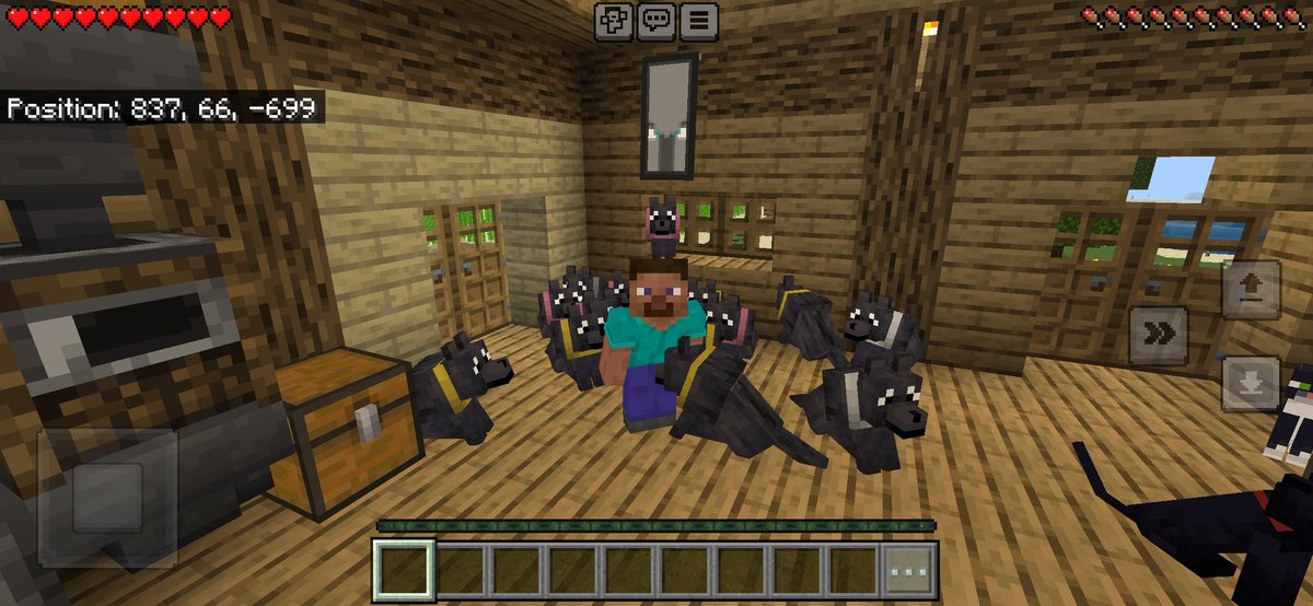 ToonWk's tweet photo. @Minecraft 🙃 https://t.co/JY1LucY5z0