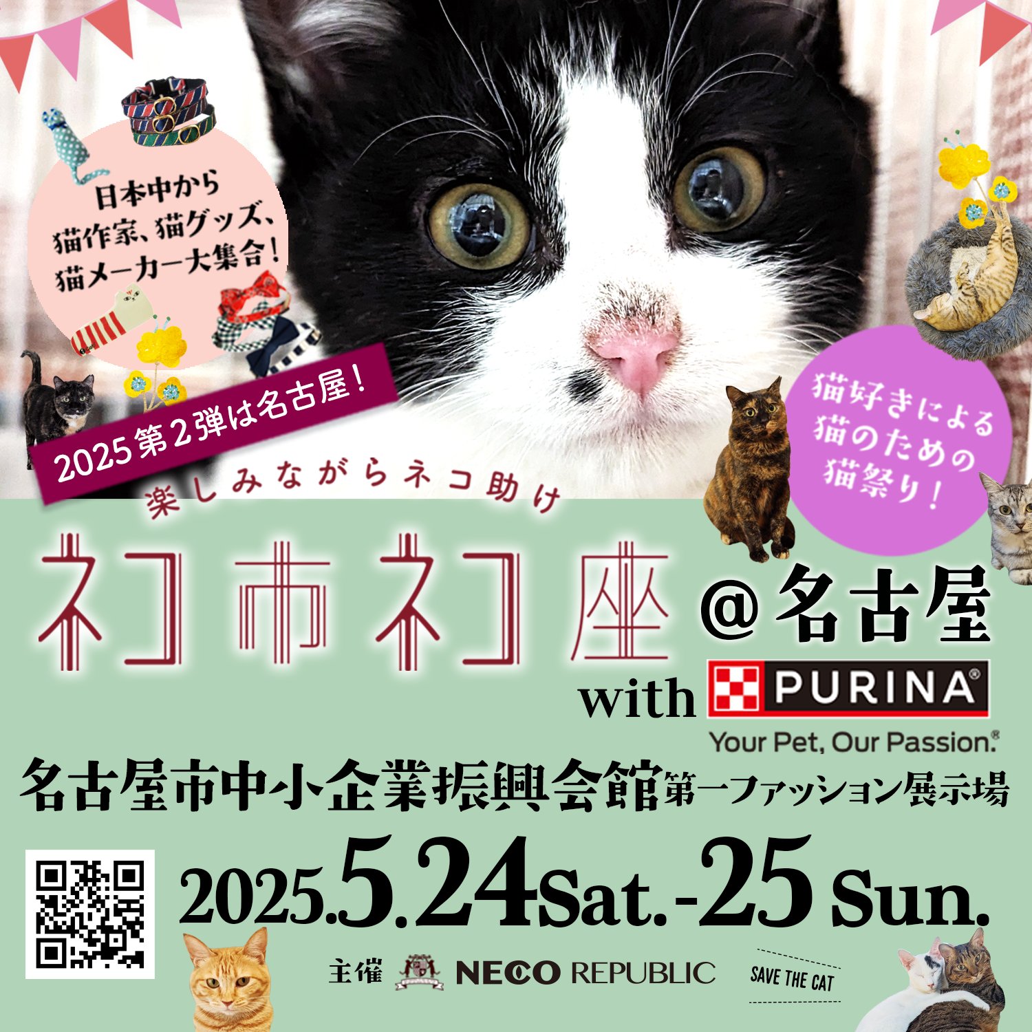 Amazon | PAWZ Road キャットタワー ミニ 小型 シニア 猫タワー