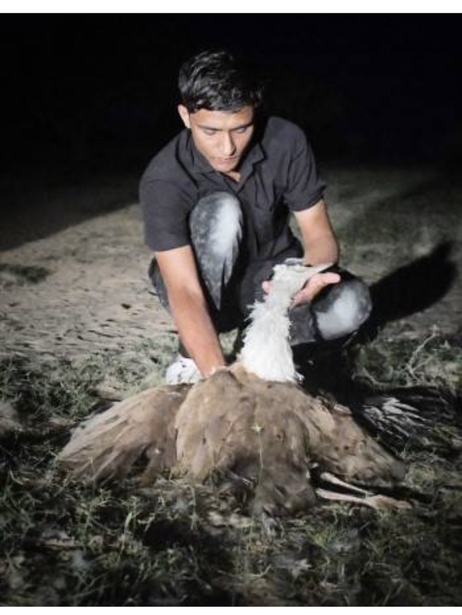 Bahar Dutt (@bahardutt) on Twitter photo Deeply disturbed by the news that wildlife warrior <a href="/RadheBishnoi__/">Radheshyam Bishnoi</a> is no more trying …to gather info on what happened …. Seems like he died while chasing poachers .. what a terrible loss for the #wildlife community ☹️ Deeply disturbed by the news that wildlife warrior <a href="/RadheBishnoi__/">Radheshyam Bishnoi</a> is no more trying …to gather info on what happened …. Seems like he died while chasing poachers .. what a terrible loss for the #wildlife community ☹️