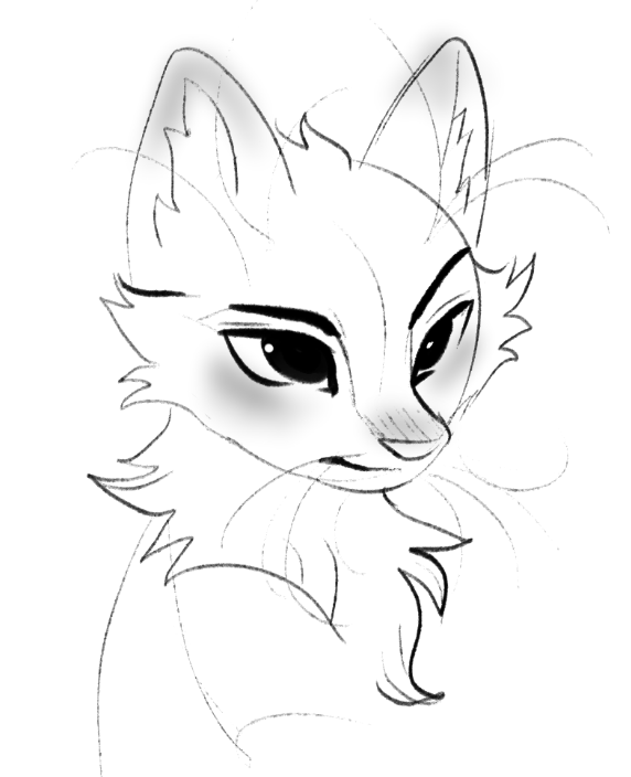 Chikki 🦋 tweet media