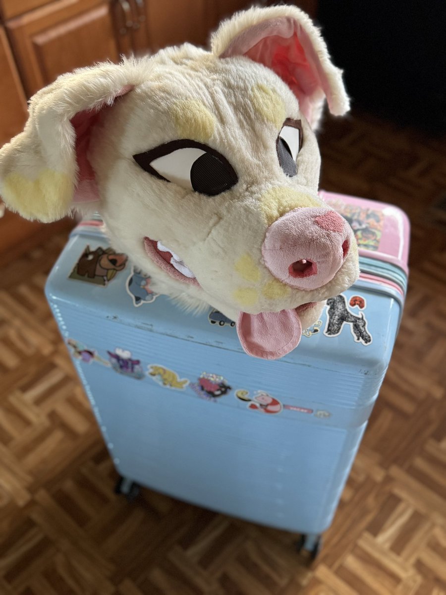 Who I’m seeing at galactic camp this Saturday????