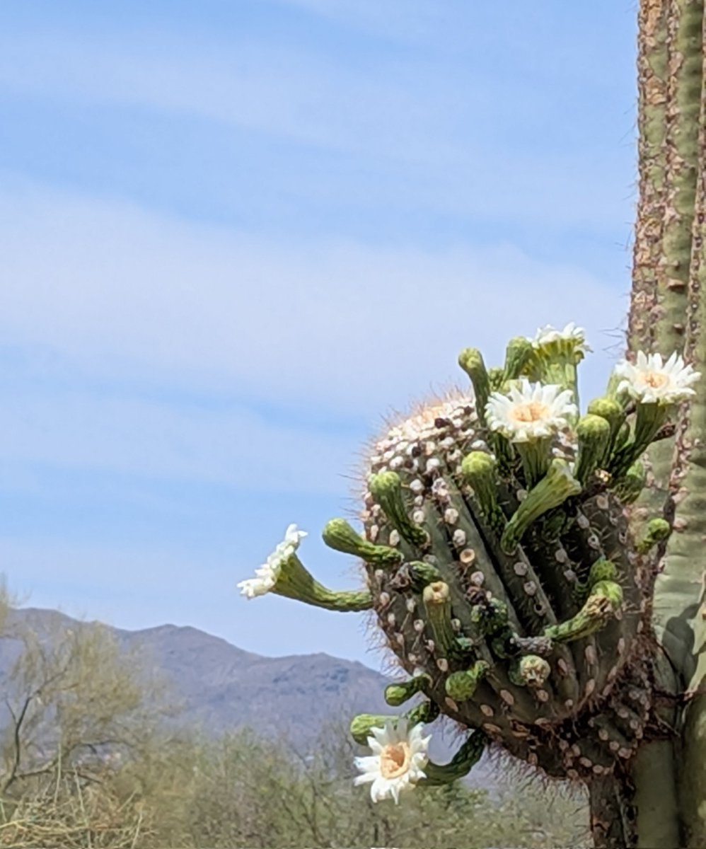 Every day holds something special for you. Sometimes you just have to look for it.✨