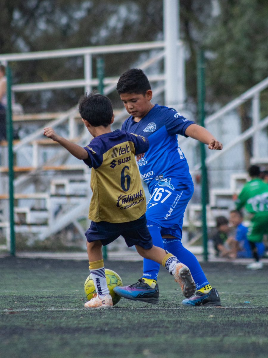 📸|VIERNES DE ACADEMIAS 🤩

Esta tarde, nuestros Toritos de las categorías U11 y U7 tuvieron actividad en Liga Premier Celaya 👊🏻

¡VAMOS CELAYA! 💙

#CELAYAsomosTOROS🤘🏻