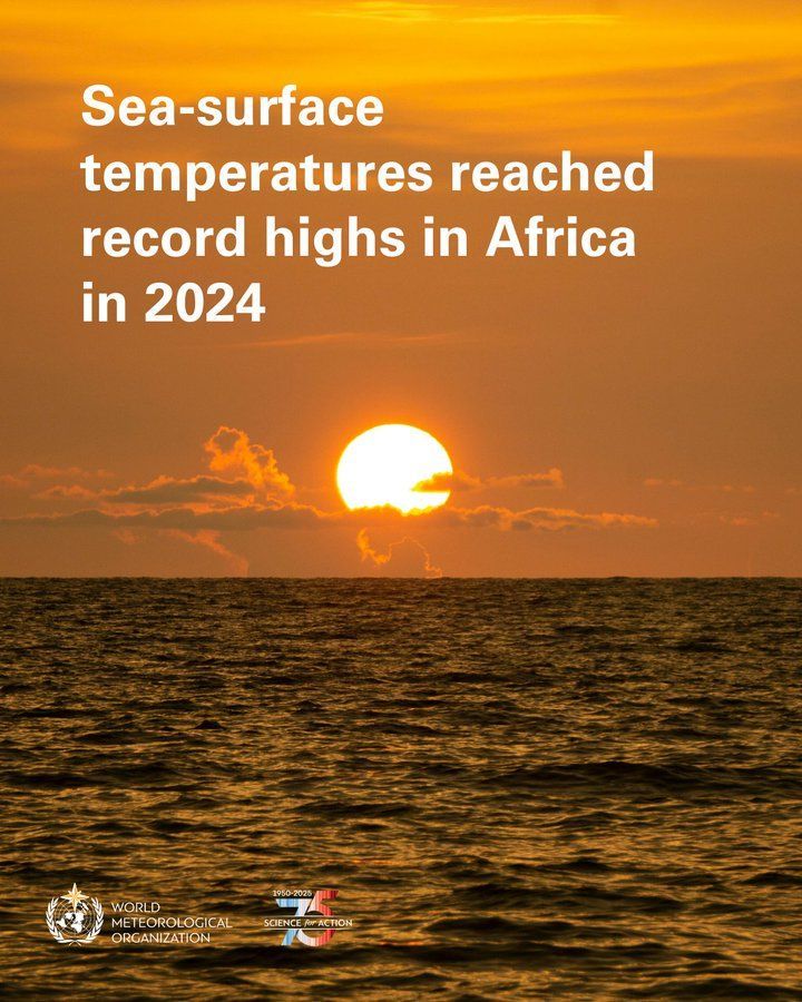 United Nations Geneva (@ungeneva) on Twitter photo 🔴 Africa has warmest decade on record
🔴 Sea surface temperature record high in 2024
Early warnings and climate adaptation must be scaled up.
Find out more about the #StateOfClimate in #Africa 👉 bit.ly/3ZgJ3Wr
<a href="/WMO/">World Meteorological Organization</a> ClimateAction 🔴 Africa has warmest decade on record
🔴 Sea surface temperature record high in 2024
Early warnings and climate adaptation must be scaled up.
Find out more about the #StateOfClimate in #Africa 👉 bit.ly/3ZgJ3Wr
<a href="/WMO/">World Meteorological Organization</a> ClimateAction