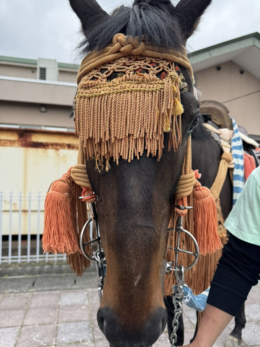 北郷本陣到着し待機中
#相馬野馬追2025