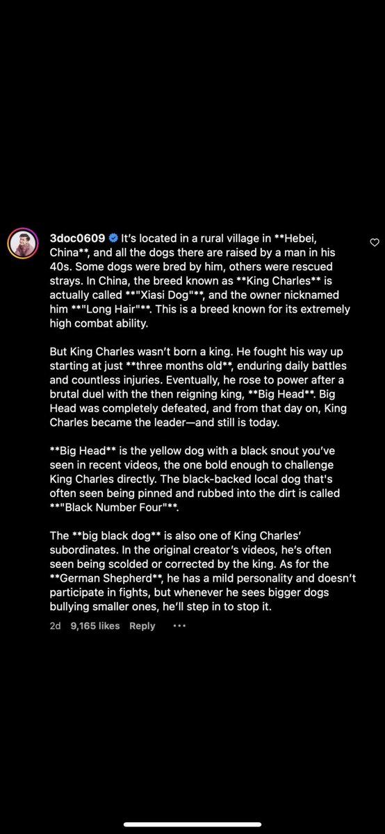 I honestly think people are just too stupid to understand the lore behind the narrative of $King Charles 

Use your brain and read this and tell me this dog doesn’t deserve to be in the same realm of doge or dogwif 

$King Charles deserves so much more