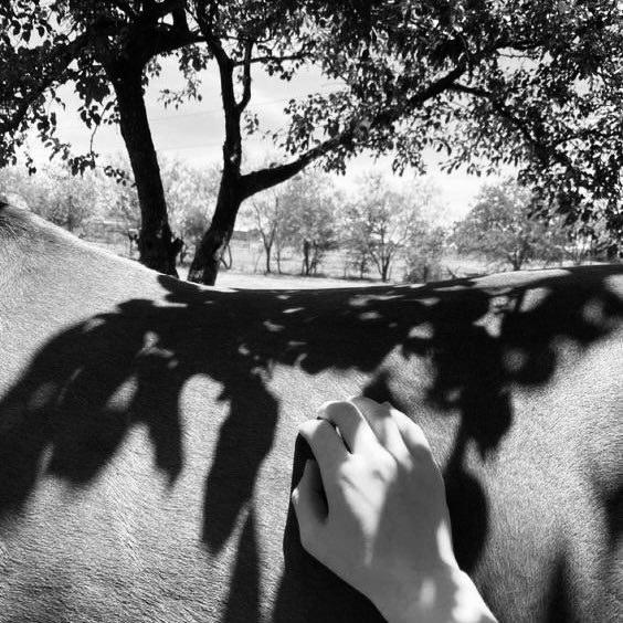 OptimistaLad's tweet photo. @TamagoPost ㅤ 

Chun Matthias, 1977. 
Planning to do a horse riding session for this early weekend. And you? 
(W!OC, Strictly ENG)            

ㅤ https://t.co/bpWGsUXyCg