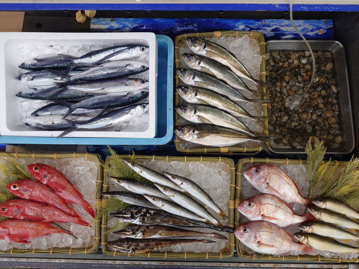 魚忠長久手店の苅谷です
本日も
#ピアゴパワー長久手南店
開店記念祭を開催中！
魚忠では
丸魚・切身500円均一
やってます！
是非、お越しください
ご来店お待ちしてます
#ヤマダネコ アクキー🎁
#uochu
#魚忠長久手店