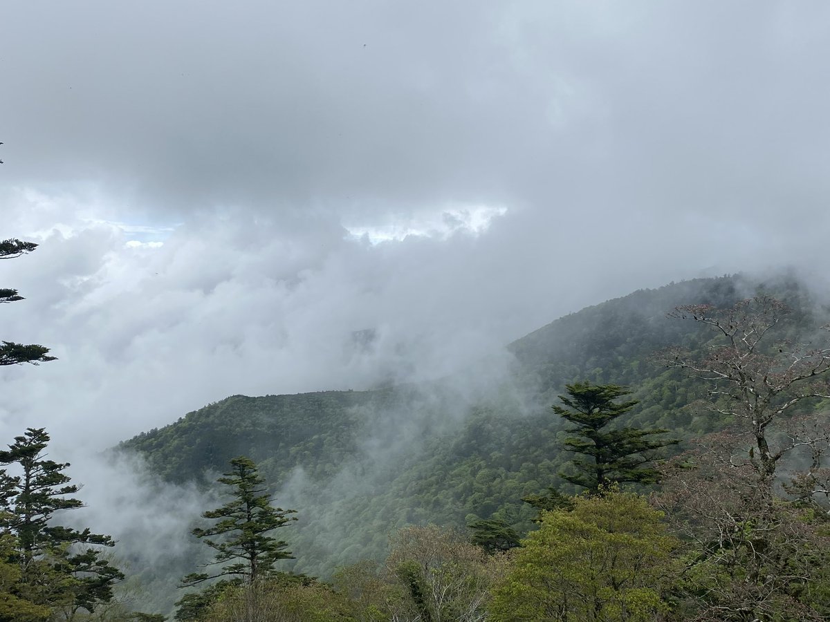 vasikarada's tweet photo. 本年度も大峯山寺を登拝させていただきました
この日は朝から天候が悪く雨の為か私以外道中も山頂でも私一人でした💦
御朱印は本堂内で授与いただきました https://t.co/w7Lp8oaMvq