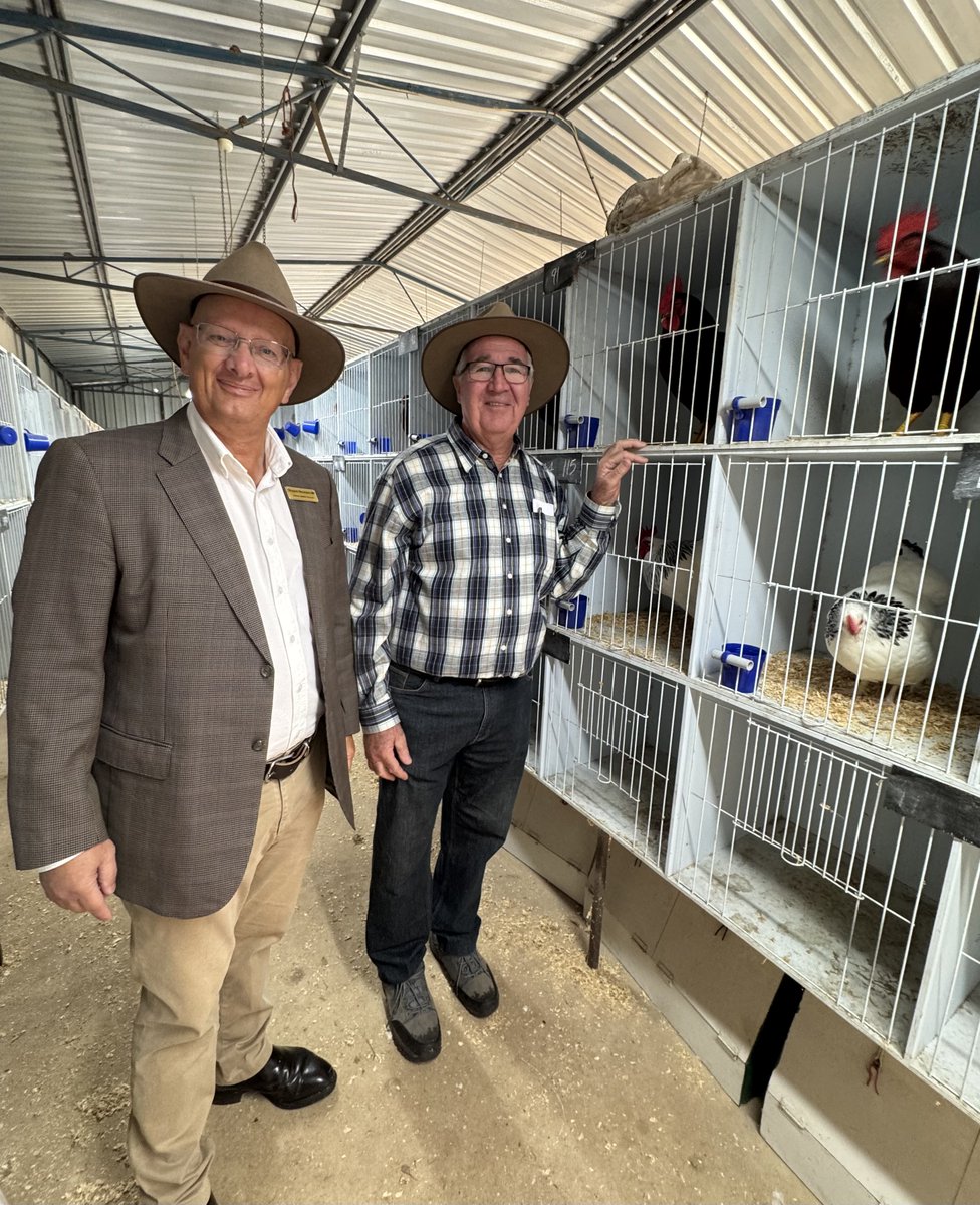 ShayneNeumannMP's tweet image. Terrific to sample some amazing local produce, congratulate some young prizewinners and catch up with locals at the Esk Show.
Today is the the Main Show Day with free rides, trade and food stalls, taste of Somerset, competitions and fireworks - come and check it out!