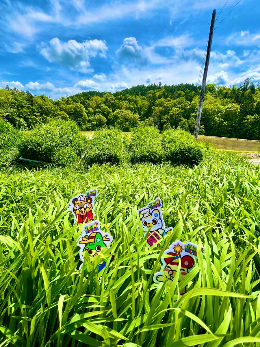Puyo.うるふぱっく@SuiGeneris(🌊,⛵) (@puyo2mirei) on Twitter photo Real Farmer Part2 #FarmFrens
Can you find #Aroogi #LightLynx #HoneyBear #Jerbaroo ?? 🌾💚
<a href="/farmfrenslol/">Farm Frens「ファーム・フレンズ」</a> Real Farmer Part2 #FarmFrens
Can you find #Aroogi #LightLynx #HoneyBear #Jerbaroo ?? 🌾💚
<a href="/farmfrenslol/">Farm Frens「ファーム・フレンズ」</a>