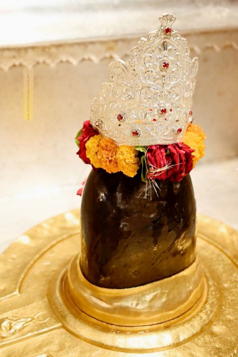 श्री काशी विश्वनाथ जी की भव्य, दिव्य, अलौकिक दर्शन।