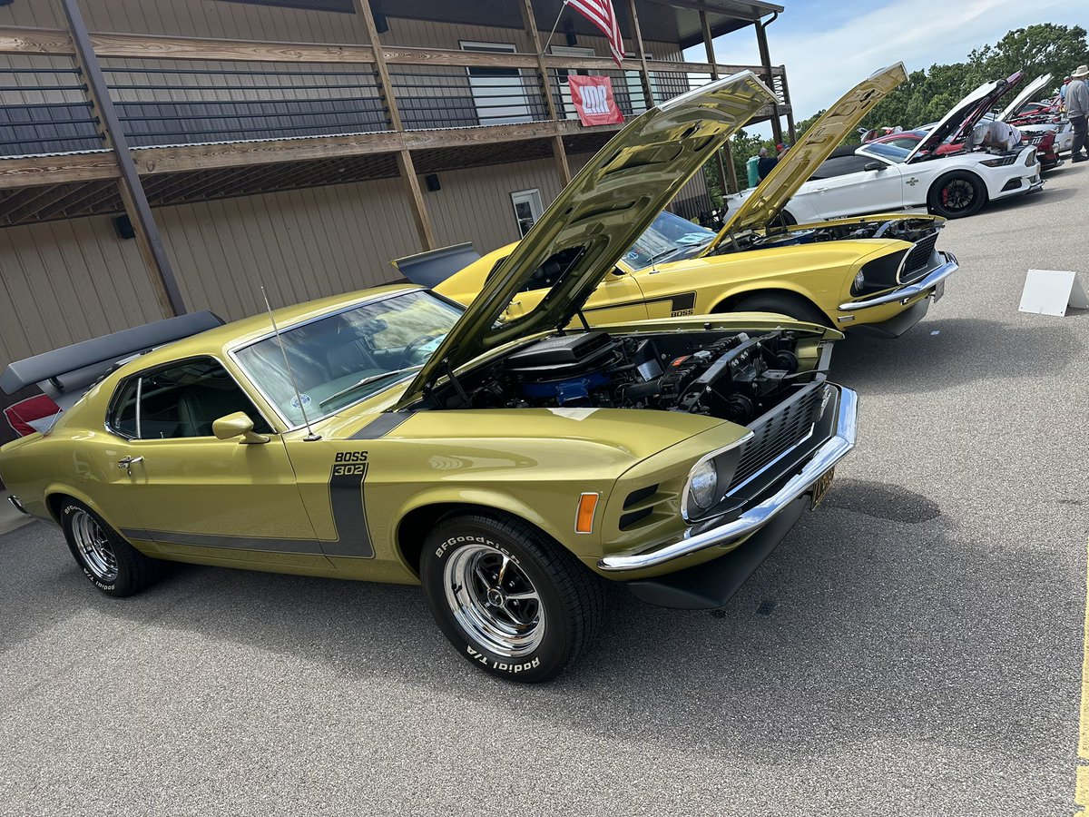 Some Specialty Class royalty. MCA Ponies in the Ozarks Show today. 💪🫡