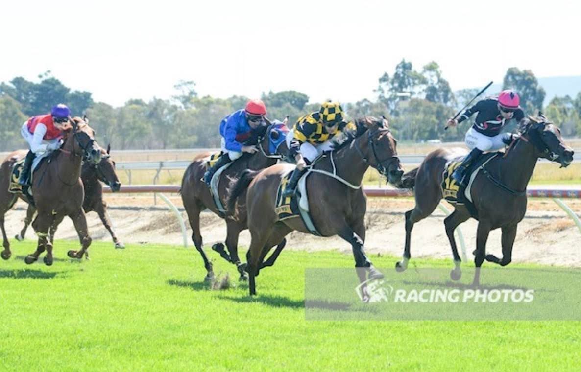 Road trip up the Hume to Wodonga Racecourse with 3 horses onboard today 🏇🏼Best of luck to connections!

R4H9 Telescope B McDougall 58kg *pictured
R7H5 Miss Tramell A McCabe  58kg
R8H3 Cobblestone Way B McDougall 59.5kg