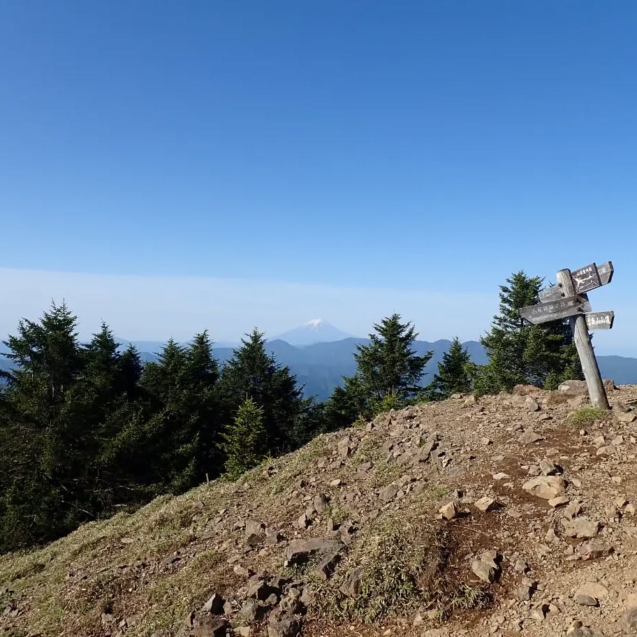 雲取山より

やっぱり富士山が見えるとテンション上がる。

#山登り #登山 #雲取山 #富士山 #百名山