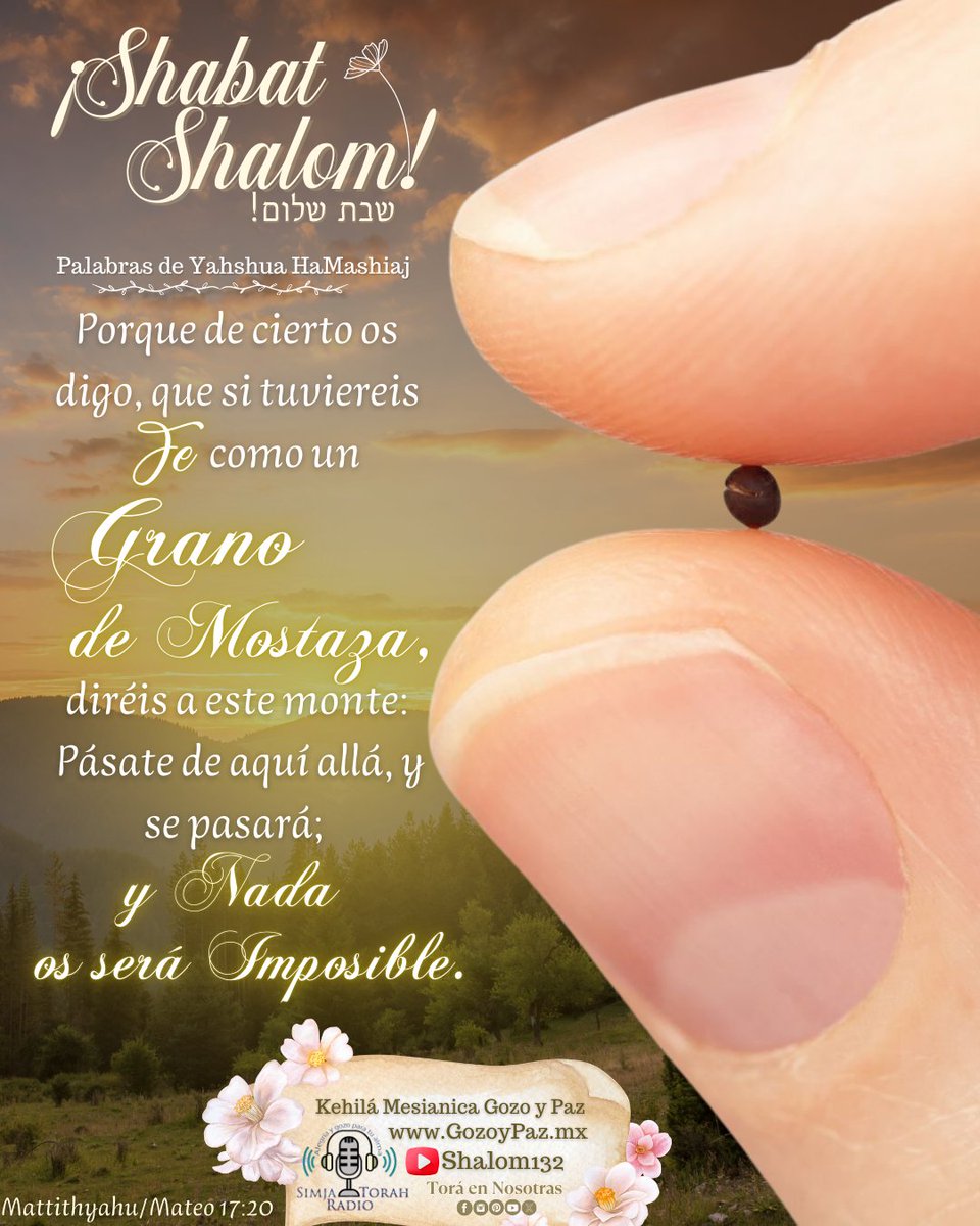 toraennosotras's tweet photo. 🌷✨¡S H A B A T S H A L O M!✨🌷
☁️שבת שלום ☁️

🎙️Alegra tu alma con SIMJA TORAH RADIO https://t.co/fkA9TAhACv

#shabatshalom #buenasnuevasdesalvacion #evangelio #Promesas #palabrasdevidaeterna #perfectoamor #salvacion #diadeadoracion #kehilagozoypaz #shalom132 #toraennosotras https://t.co/mRtg519CVv