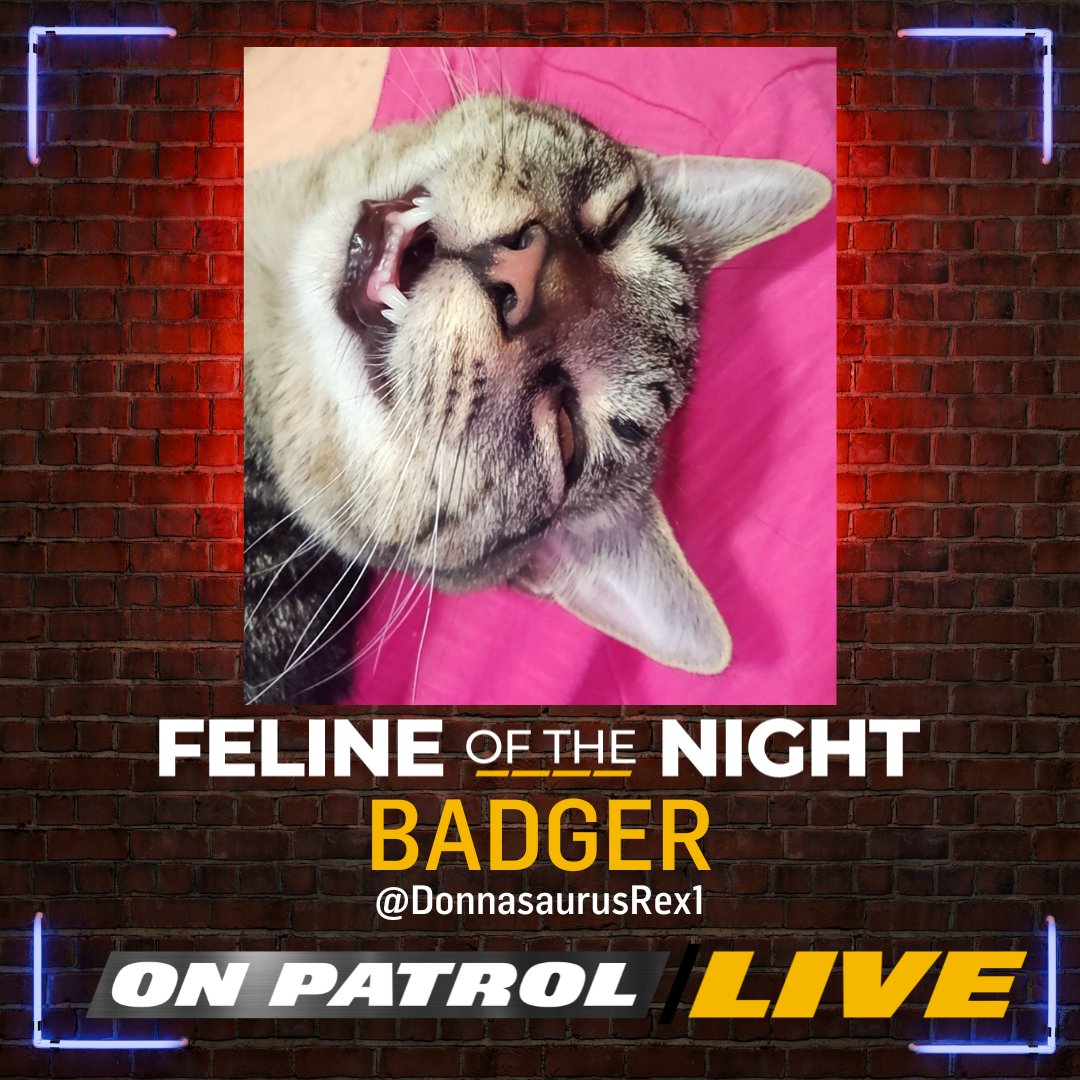 On Patrol: Live tweet media