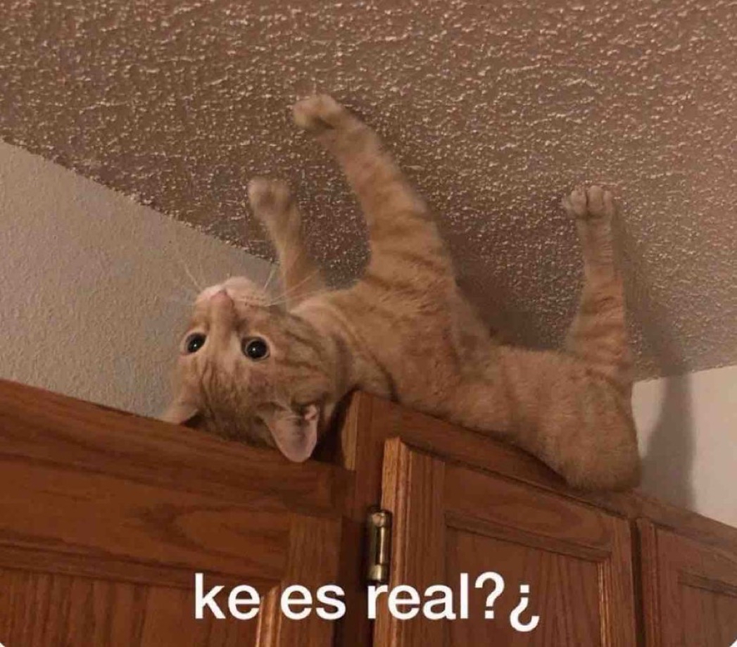 “Vamos un ratito, algo tranqui”

Yo a las 5:13 am