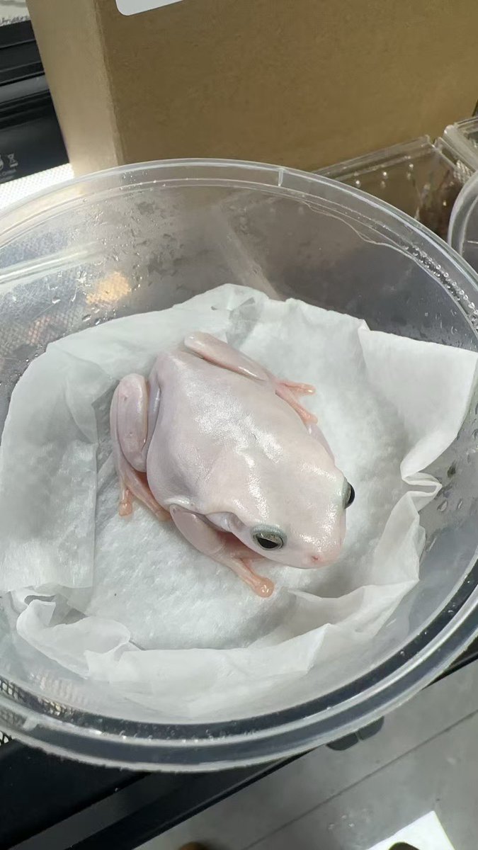 车恩胜sy (@shiyuuuu_) on Twitter photo 