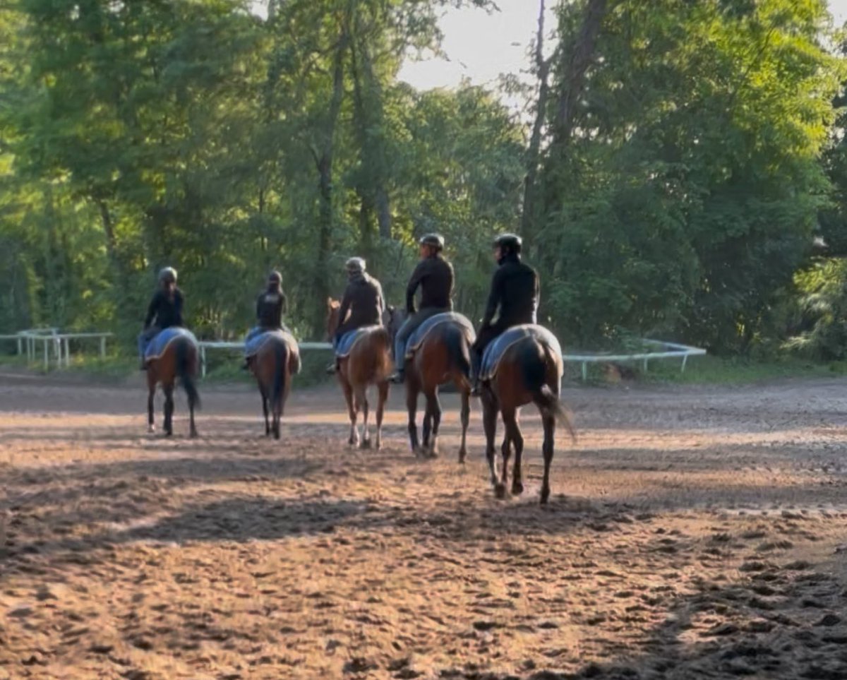 Si il y a des twittos qui le samedi toute la matinée ou dimanche ( avant 10h ) du Jockey club ou du Diane veulent venir passer un lot à chantilly et partager un café croissant 🥐  venez en MP ce sera un plaisir de vous accueillir 🙂 ( message ici si je ne vous follow pas encore )