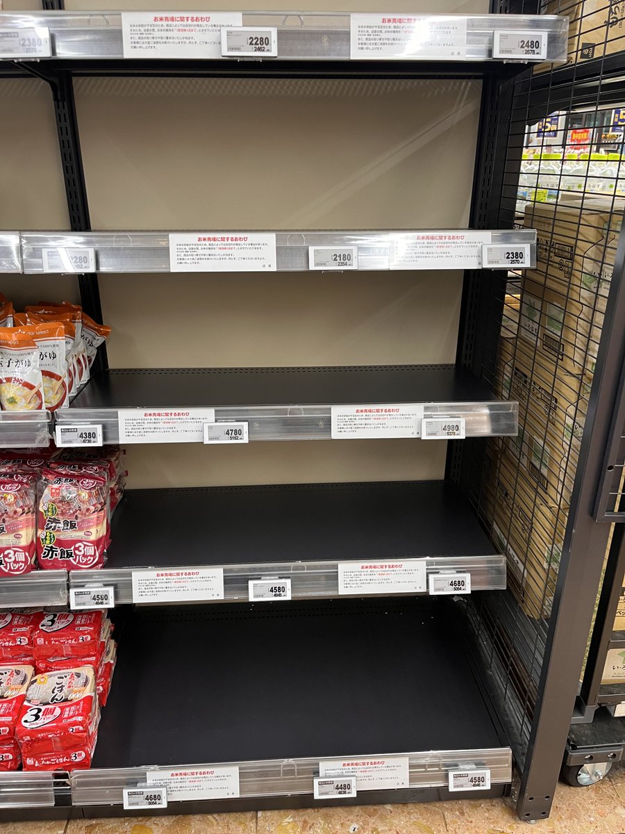 この価格で売り切れなんやば