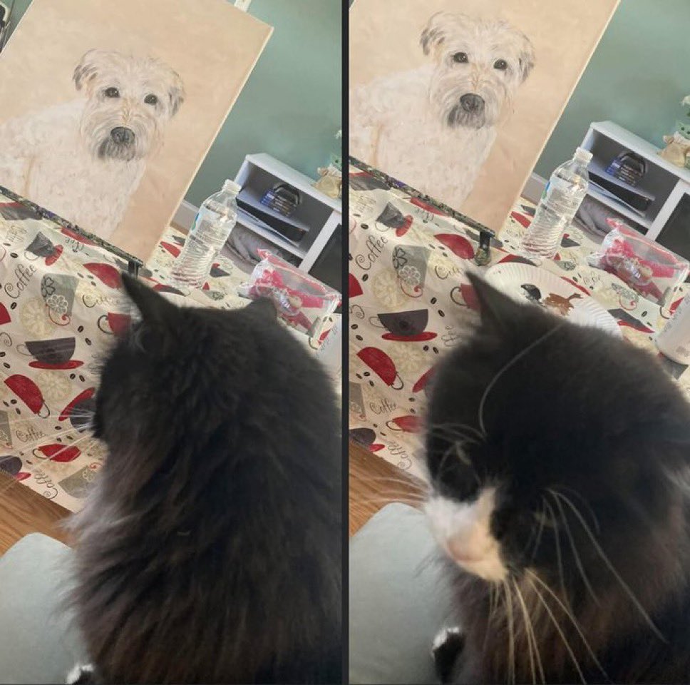 DescriptionVan2's tweet image. Frisky Saturday : Pants have always been optional