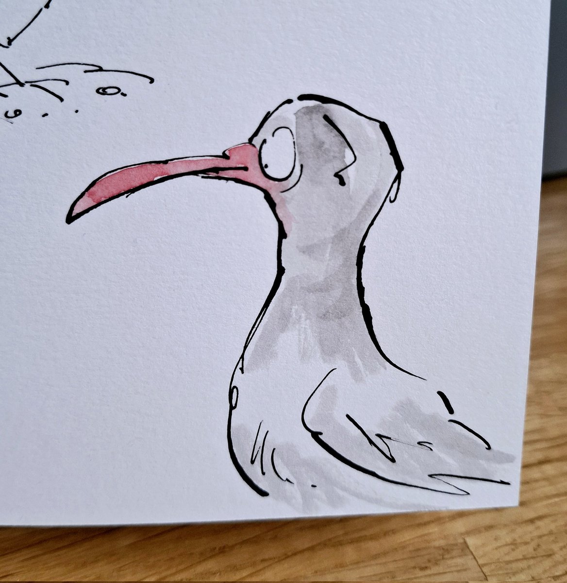 sketchbook corner: long red beak...