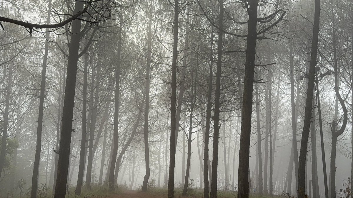 Chanpadevi Hiking will happen Every Saturday Starting 5:00 AM From Pharping Bansbari, If anyone wants to join us please Inbox.