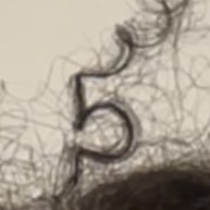 Elle s'est réveillée et il y avait un  5 parfait dans ses cheveux 
<a href="/cosieapplestar/">cosie</a>