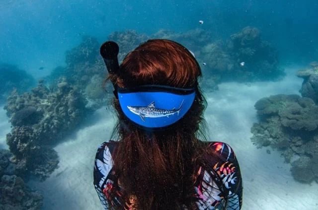 NewerSportsCo's tweet photo. Custom Neoprene Mask Strap Cover.
Contact us for inquiry:
Phone/whatsapp: +8615895052456
Email: sales@cznewer.com
Web: https://t.co/JArQ38ieHV https://t.co/sa2UaBZzdI