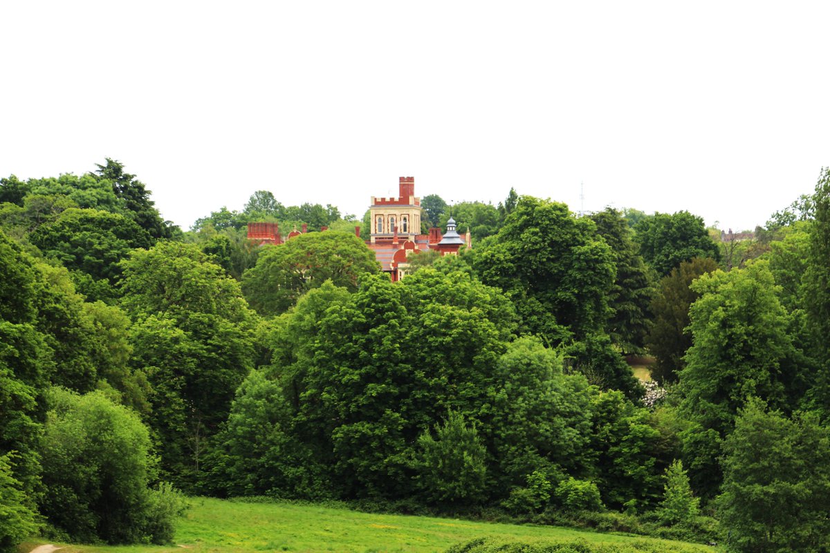 N19Matty's tweet image. Hampstead Heath/ Parliament Hill...