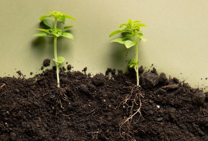 SogamaXunta's tweet image. ♻️ A Baña amplía o seu programa de #autocompostaxe!

#Sogama entrega 30 composteiros + manuais, e ofrece formación para veciños 🌱

Menos residuos, menos custes, máis sustentabilidade 🌍

👉 f.mtr.cool/tsihcjbget

#ResiduosOrgánicos #Sostibilidade #EconomíaCircular