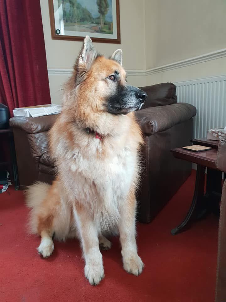 Sam Hosier tweet media