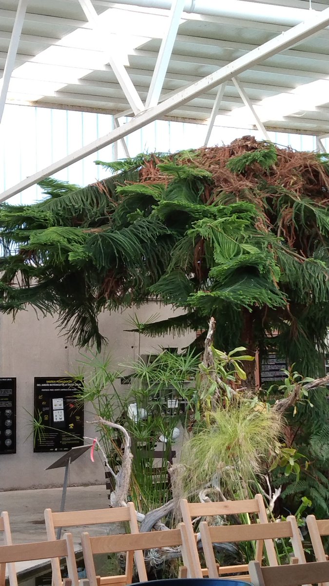 <a href="/avecinalsanJose/">AVSanJose</a> Aquí estamos
@1986Ecologistas <a href="/Paeaslarioja/">PAEAS La Rioja</a> <a href="/PacoHerc/">Paco Herce</a> <a href="/avecinalsanJose/">AVSanJose</a> <a href="/av_madrededios/">Av Madre de Dios</a>