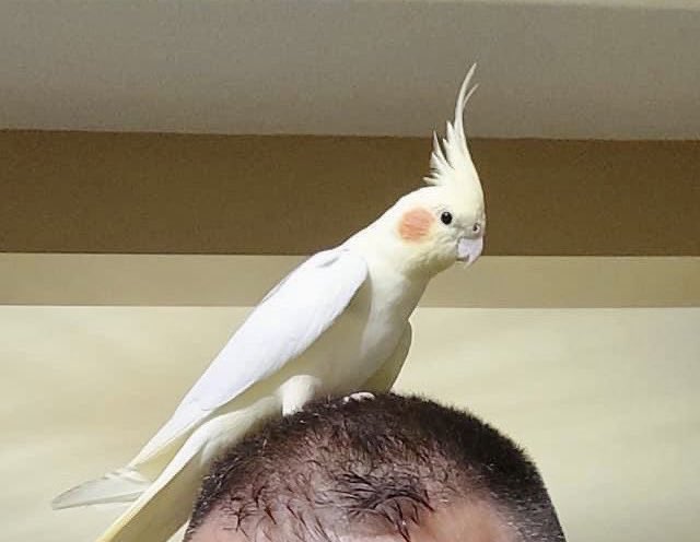 Ξεκινάω με την παραδοχή ότι στ’ αρχίδια σας για αυτό που θα γράψω😉
Λοιπόν, εδώ μέσα μπαίνω για να περνάω την ώρα μου ευχάριστα, δεν με ενδιαφέρει ποιος γουστάρει ποιον και ποιος μάλωσε με τον άλλο.
15 χρόνια εδώ μέσα σε dm έχω μιλήσει με το πολύ 10-15 άτομα. 
Καυλάντες και