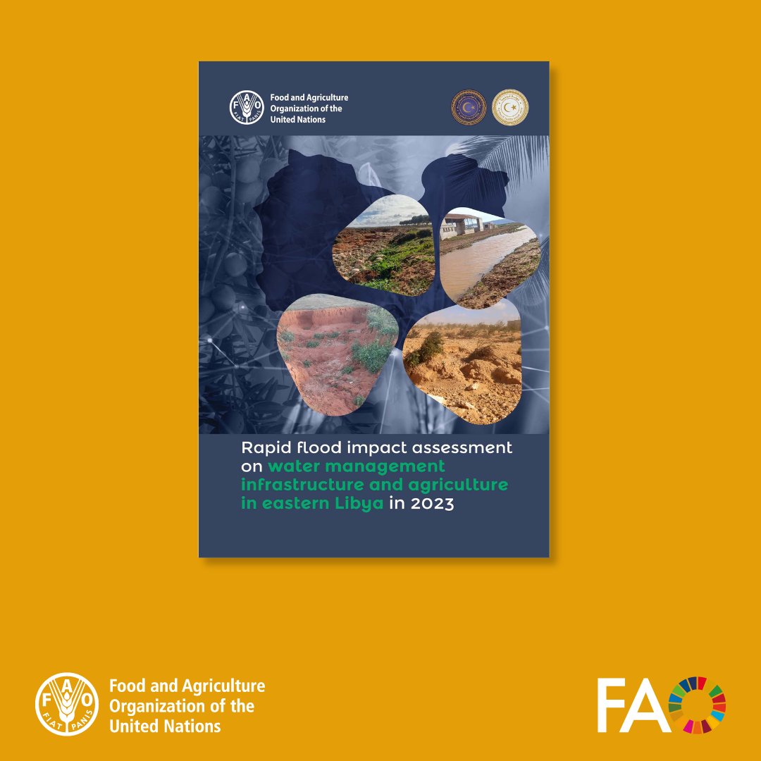FAO Knowledge (@faoknowledge) on Twitter photo 🌊 In 2023, floods hit Eastern Libya hard, affecting communities, crops and key water infrastructure.
Using satellite data, <a href="/FAO/">Food and Agriculture Organization</a> assessed the damage to guide targeted recovery and protect food security and rural livelihoods.
📘 Read the report: doi.org/10.4060/cd4267… 🌊 In 2023, floods hit Eastern Libya hard, affecting communities, crops and key water infrastructure.
Using satellite data, <a href="/FAO/">Food and Agriculture Organization</a> assessed the damage to guide targeted recovery and protect food security and rural livelihoods.
📘 Read the report: doi.org/10.4060/cd4267…