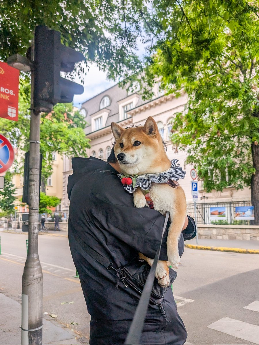 連日イレギュラーなことが続いていて、それだけで手一杯になってしまった。
でも、久しぶりにあったクロアチアの友人から、英語力が飛躍的に伸びてるって褒めてもらえて確かな手応えを感じている✨
もうすぐ海外移住3年。ようやく英語力が伸びてきたんだが。