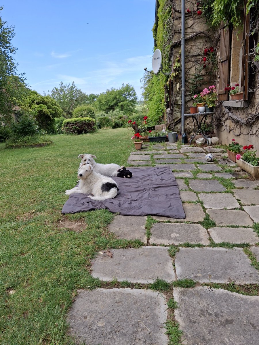 Helping mummy plant some géraniums on de terrasse 🏵🏵🏵