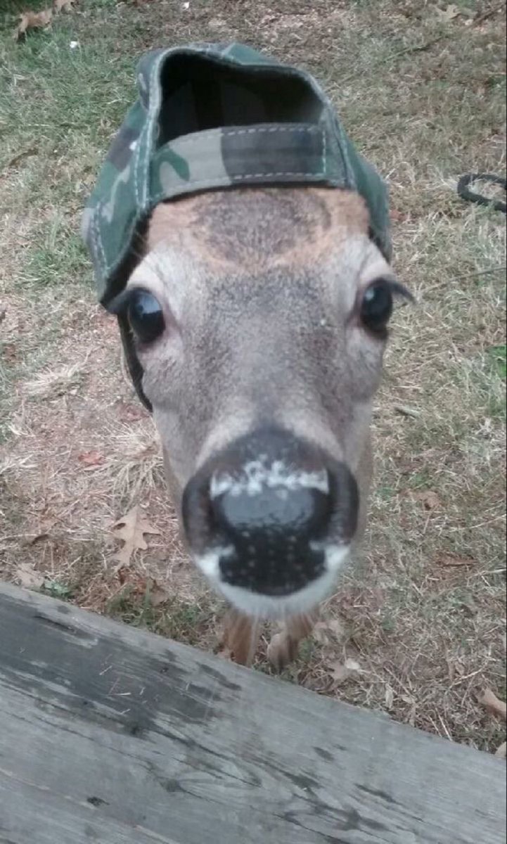 eddiedeers's tweet photo. army medic eddie https://t.co/yqBVFPX06q