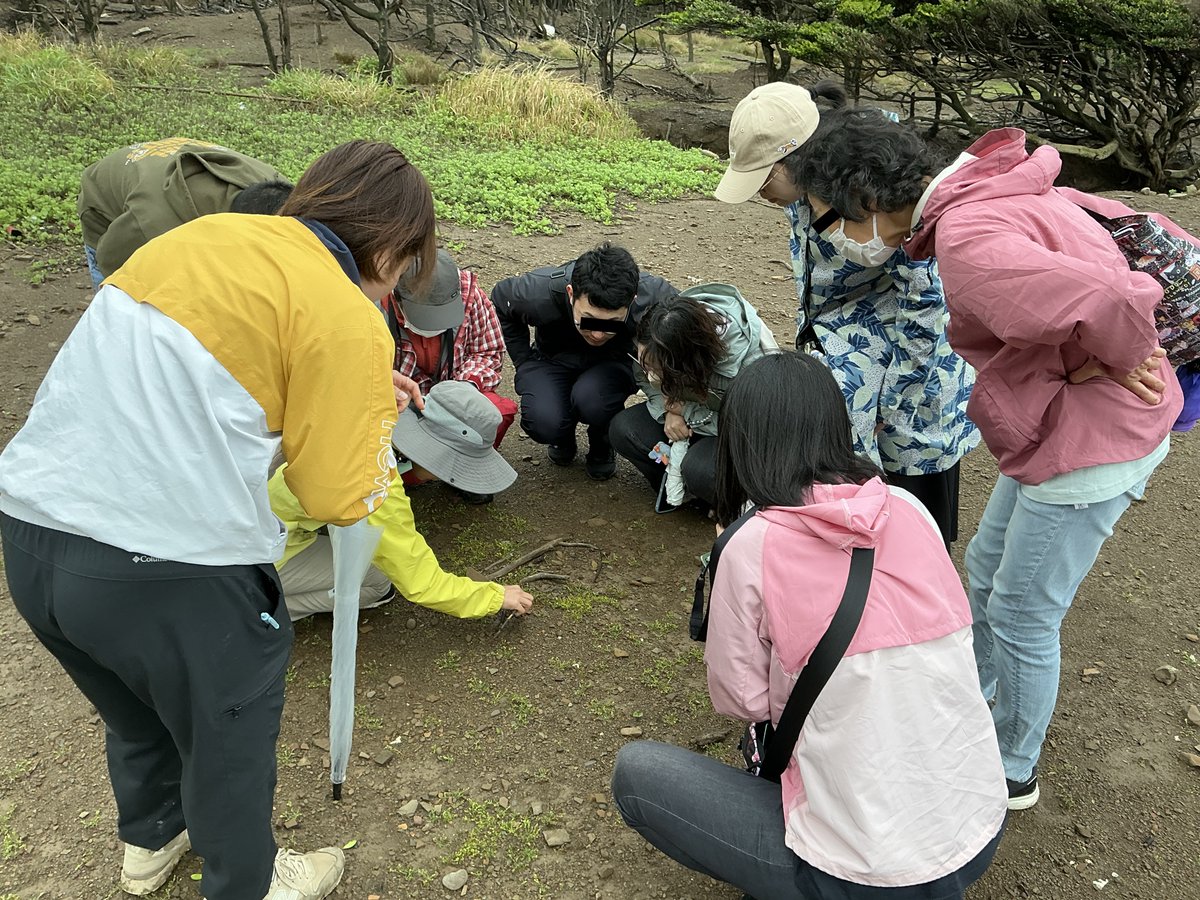 torayamaneko's tweet image. 本日、明日の佐護ヤマネコ稲作研究会オーナーイベントの田植えに来島いただいた、対馬グリーン・ブルーツーリズム協会主催のツアーのお客様を保護区へご案内しました。
飛行機が条件運航で伊丹に行くかも知れない中お越し頂きました。
なんと、ヤマネコが出ました!…