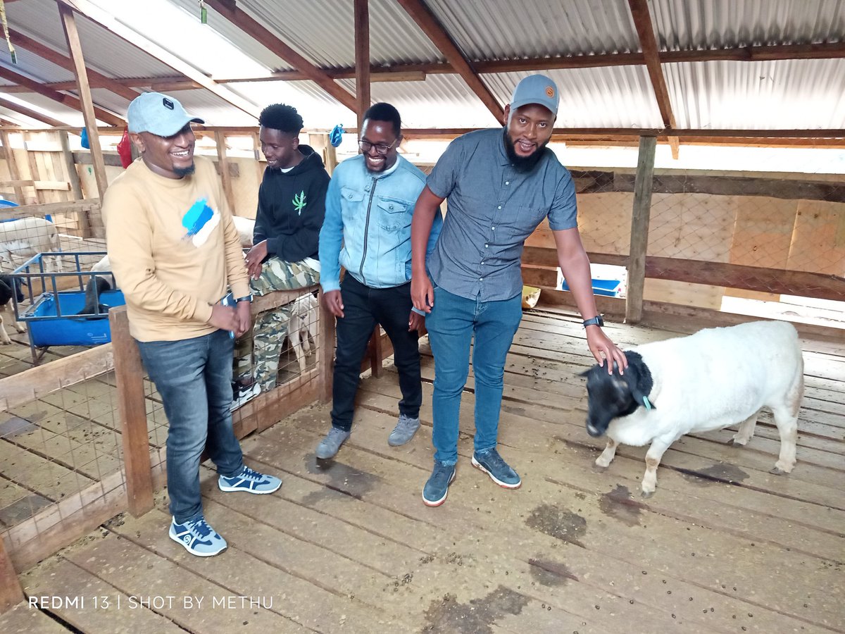 Yesterday we were pleased to host Kihara, Njenga , Charles and Korez for a farm visit.
All the way from Thika and Narok, distant counties and beyond, passionate farmers journey to learn and are drawn by the breed’s unmatched potential.