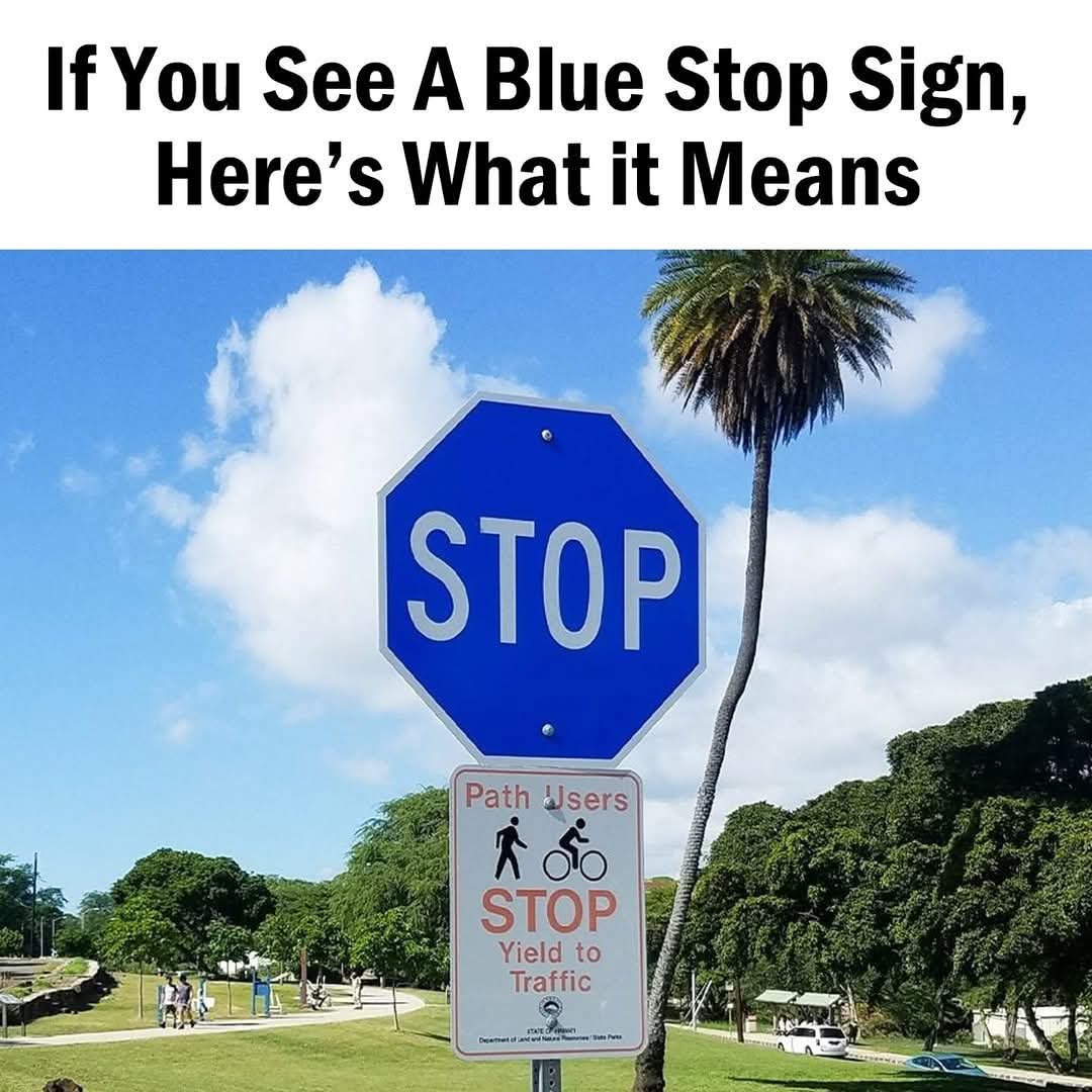 JetPap's tweet image. Blue Stop Signs What Do They Mean

Read more: viralstrange.com/blue-stop-sign…