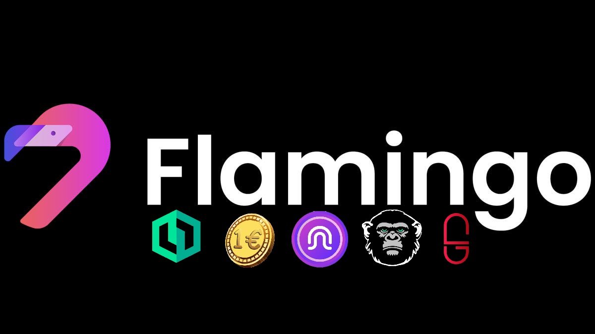 Top pick memes on $NEO via Flamingo.Finance 

Small caps, large gains 

$APE 
$FRANK
$NRP
$NDMEME
$NUDES

What are you hodling ?