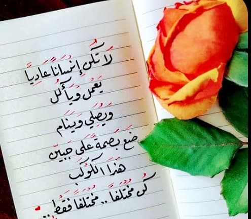 ع̀́ب̀ــــــــــآ̀́ر̀́آ̀́ت̀́....!! 
ر̀́آ̀́ق̀́ي̀́ه̀́ ۈ̀́م̀́ع̀́بُ̀́ر̀́ه̀́... 👌💜