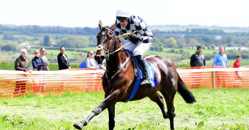 Tattersalls_ie's tweet photo. 🗞 𝗙𝗿𝗲𝗻𝗰𝗵 𝟯𝘆𝗼 𝗛𝘂𝗿𝗱𝗹𝗲 𝗪𝗶𝗻𝗻𝗲𝗿 𝗔𝗱𝗱𝗲𝗱 𝗧𝗼 𝗠𝗮𝘆 𝗖𝗮𝘁𝗮𝗹𝗼𝗴𝘂𝗲

Recent Compiegne winner Noire Wulf is an intriguing addition to next week's May Point-to-Point &amp; Horses in Training Sale.

#TIPTPSale | 🗓 29 May